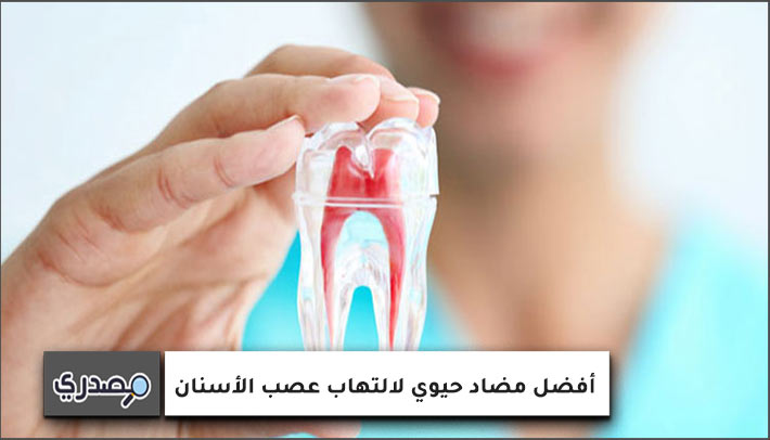 أفضل مضاد حيوي لالتهاب عصب الأسنان